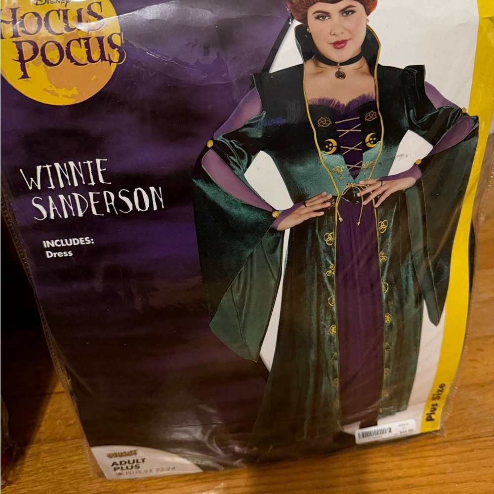 Enchanting Winnie Sanderson Costume - Green and Purple 2 XL